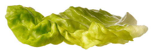 Salade